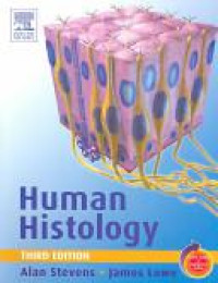 Human histology