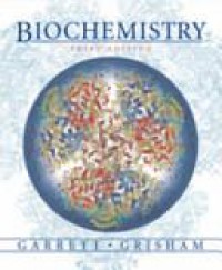 Ise Biochem-Biochnow/Inf