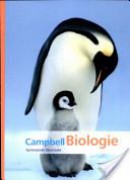 Campbell Biologie