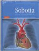 Sobotta deel 2 / romp, organen, onderste extremiteit