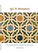 IgG Fc Receptors