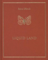 Liquid Land