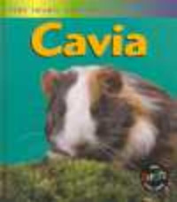 Het leven van een cavia
