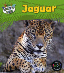 Mijn eerste docuboek - Jaguar