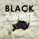 Tulpenfotografie. BLACK & WHITE TULIPS FROM HOLLAND