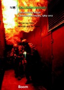 Callsign Nassau - Het moderne Korps Commando Troepen, 1989-2012