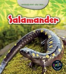 Levensloop van een salamander